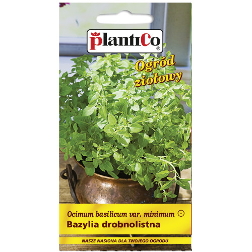 BAZYLIA DROBNOLISTNA