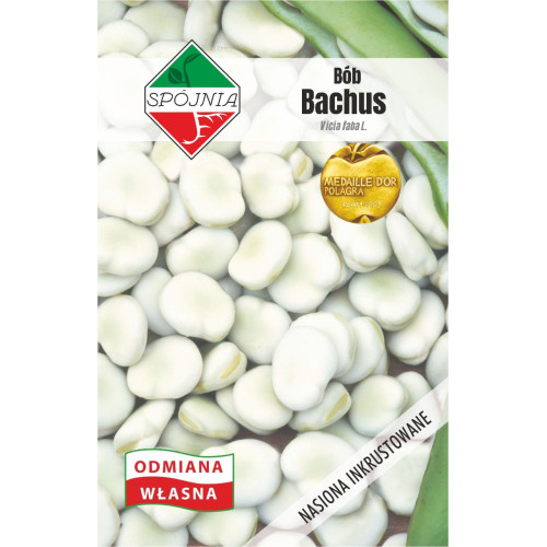 BÓB BACHUS INKRUSTOWANY