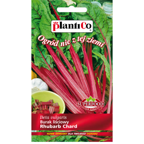 BURAK LIŚCIOWY CZERWONY RHUBARD CHARD