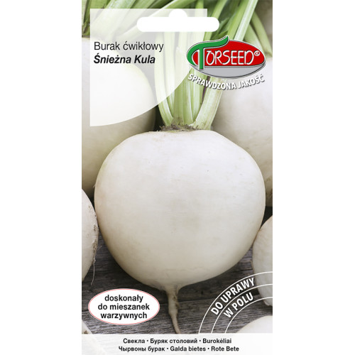 BURAK ŚNIEŻNA KULA