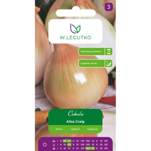 CEBULA AILSA CRAIG TYP EXHIBITION