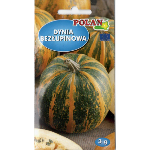 DYNIA JUNONA BEZŁUPINOWA