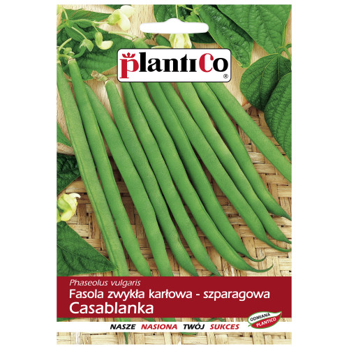 Fasola szparagowa karłowa Casablanka 40g PlantiCo