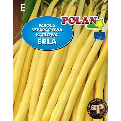 FASOLA ERLA