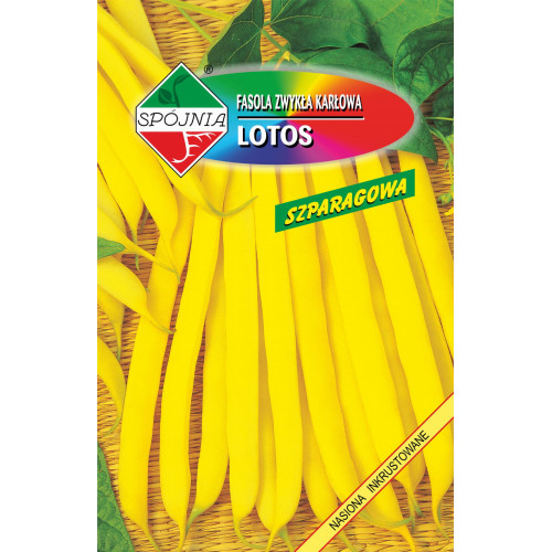 FASOLA LOTOS INKRUSTOWANA
