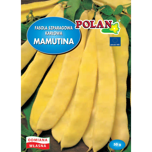 Fasola szparagowa karłowa Mamutina 50g Polan