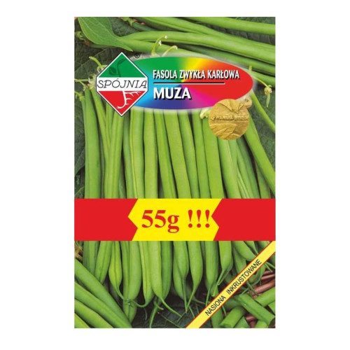 FASOLA MUZA INKRUSTOWANA