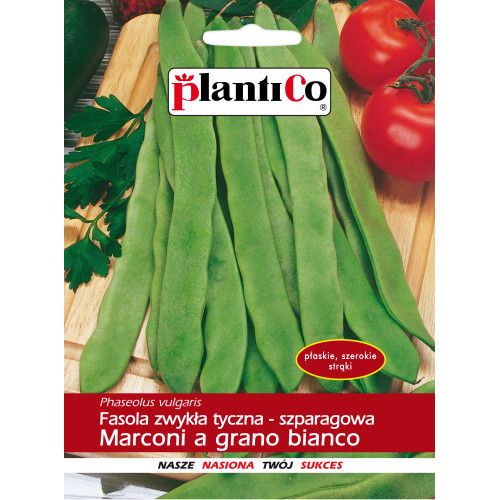 FASOLA MARCONI ZIELONA TYCZNA