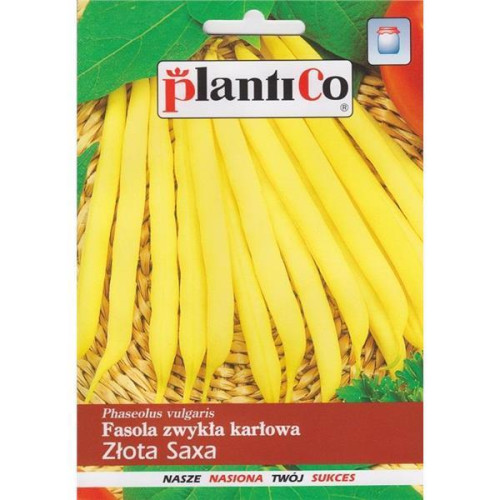 FASOLA ZŁOTA SAXA