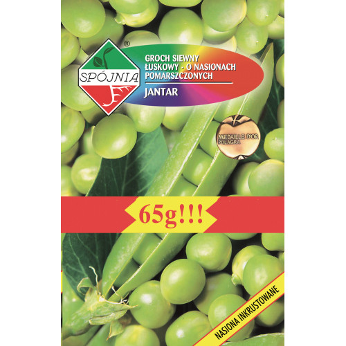 GROCH JANTAR INKRUSTOWANY