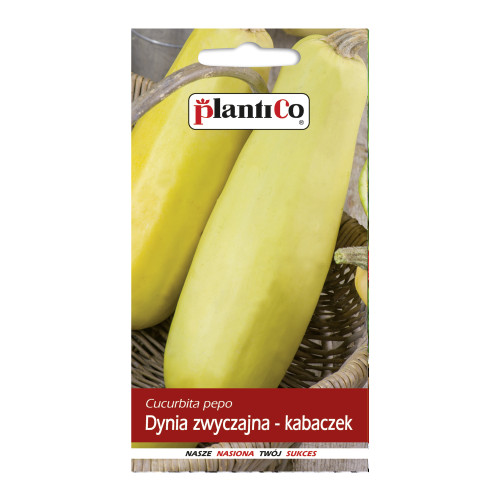 KABACZEK ZŁOTY CEPELIN