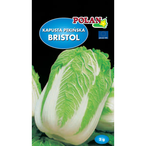 KAPUSTA PEKIŃSKA BRISTOL