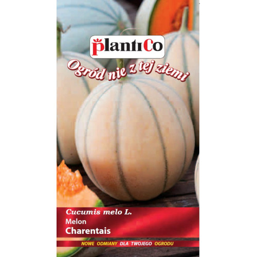 MELON CHARENTAIS