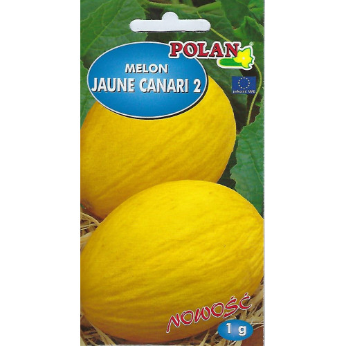 MELON JAUNE CANARI 2