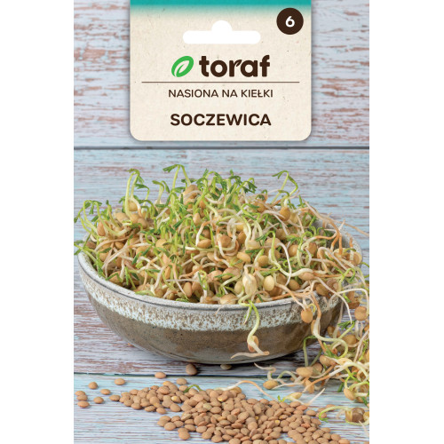 NASIONA NA KIEŁKI - SOCZEWICA