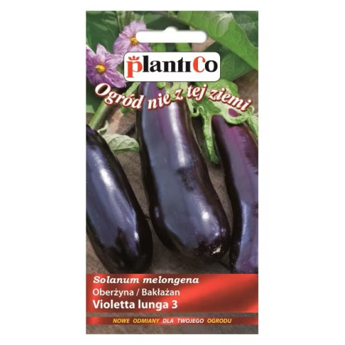 OBERŻYNA VIOLETTA LUNGA 3